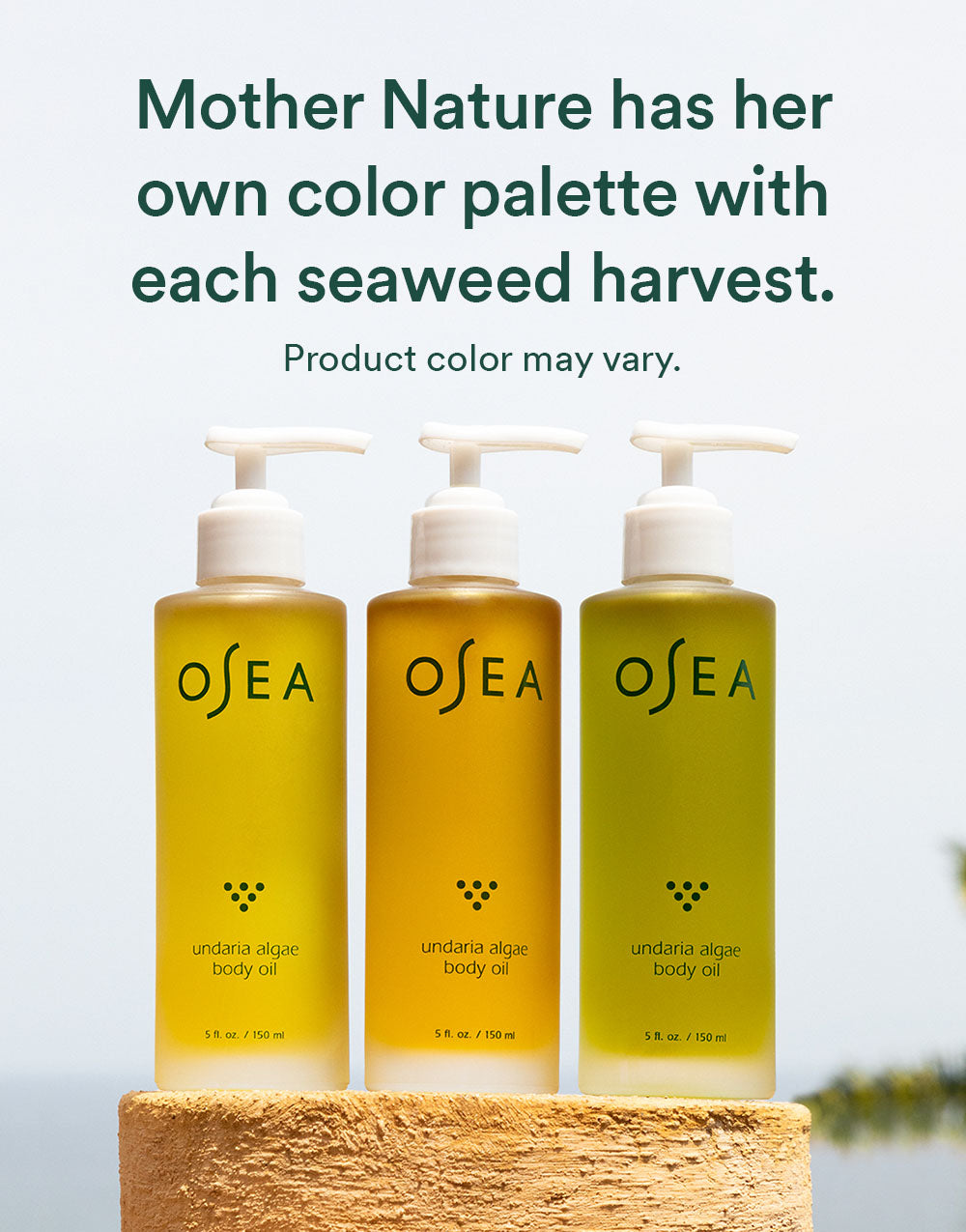 Undaria Algae™ Body Oil - Image 10