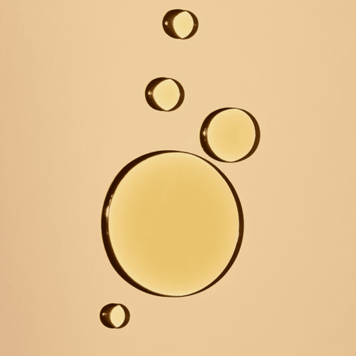Undaria Algae™ Body Oil Travel Size - Image 2