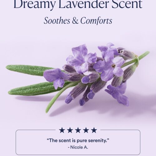 Dream Bio-Retinol Trio - Image 4