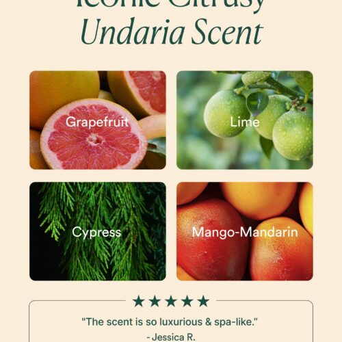Undaria Body Collection - Image 8