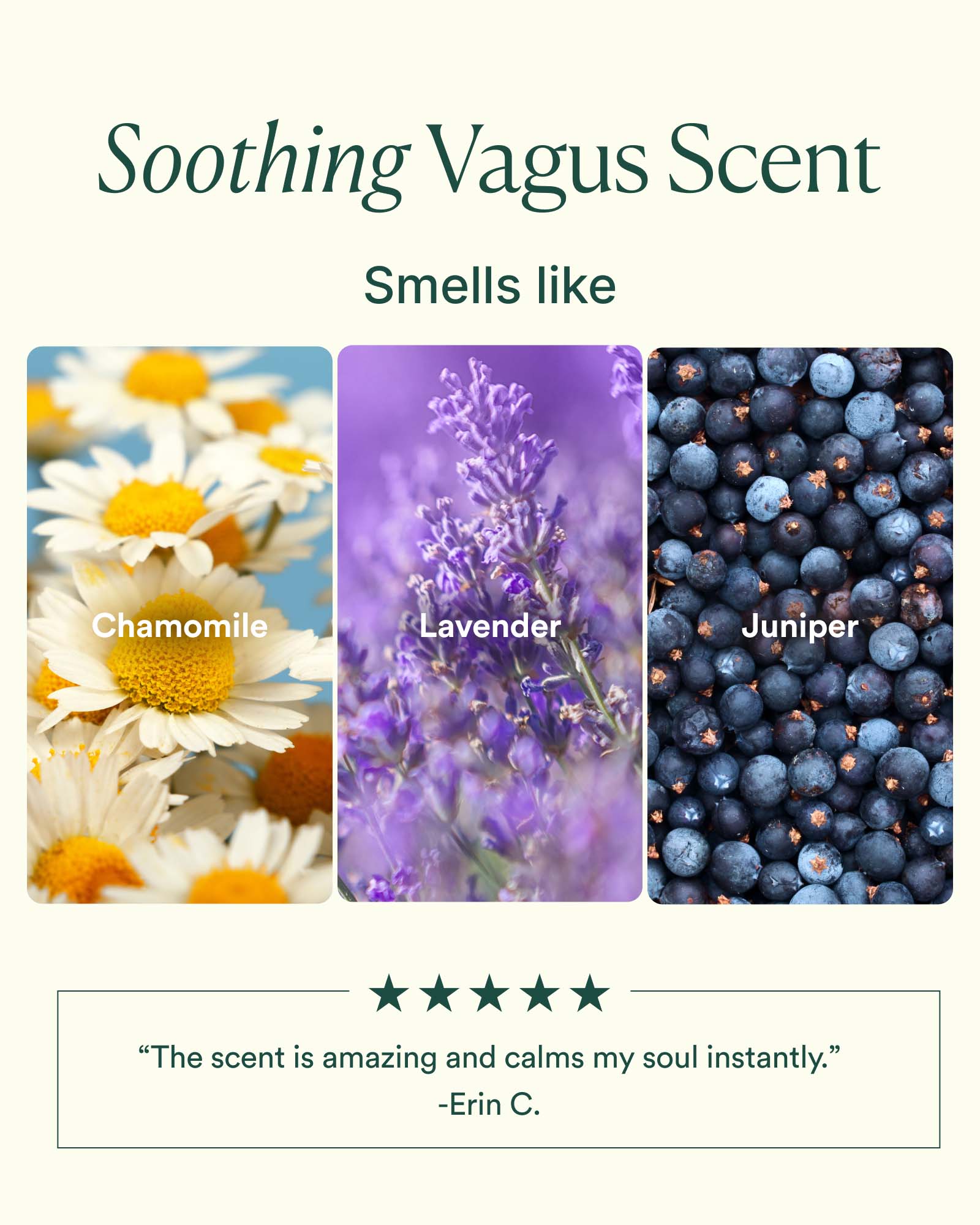 Vagus Nerve Oil - Image 5