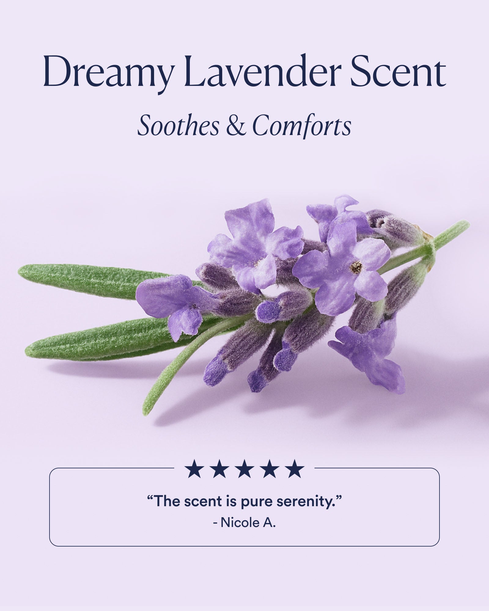 Dream Night Cream with Bio-Retinol - Image 5
