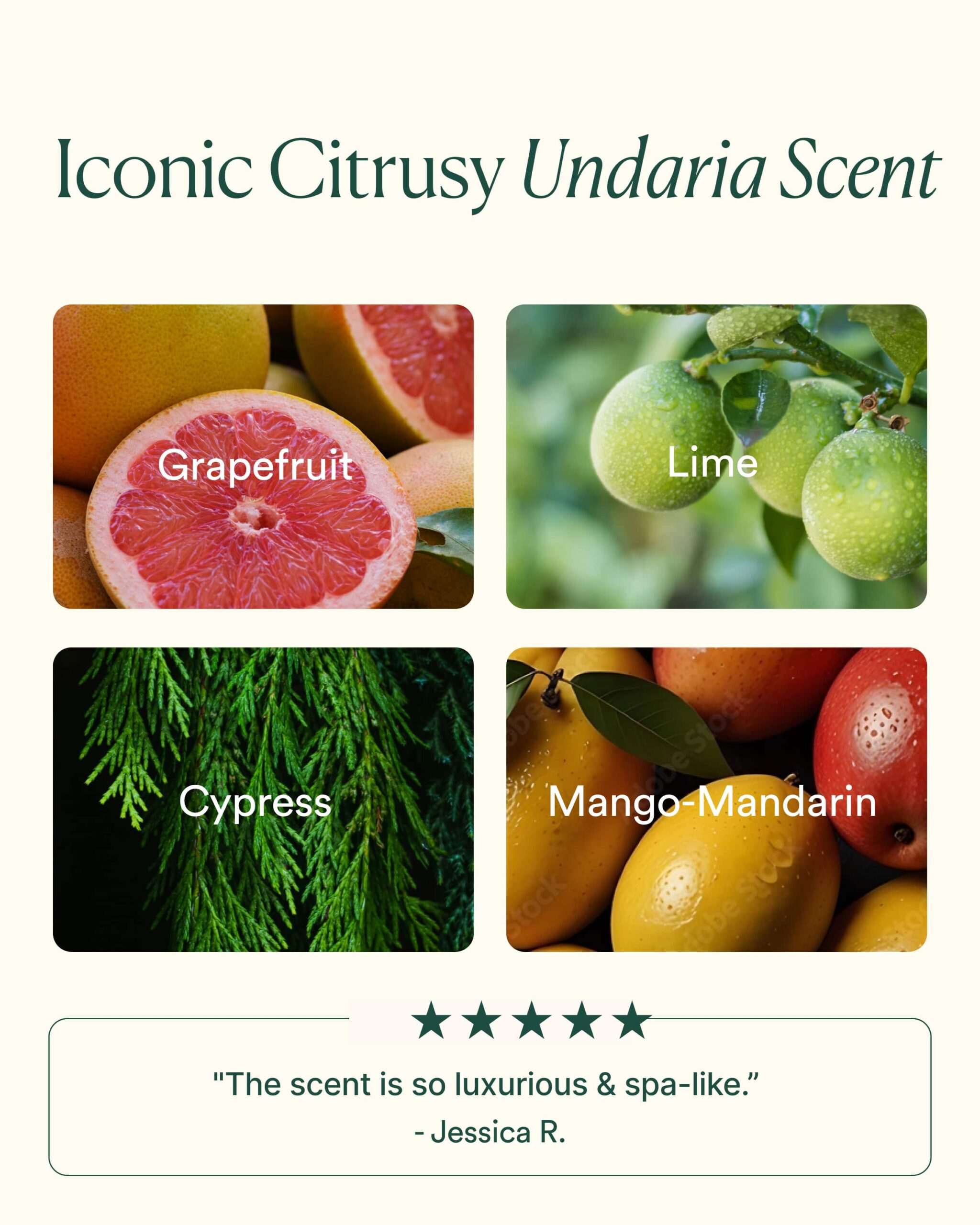 Undaria Hydrate & Glow Duo - Image 6