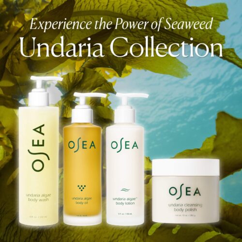 Undaria Body Collection - Image 9