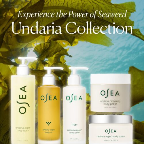 Undaria Cleansing Body Polish - Image 8