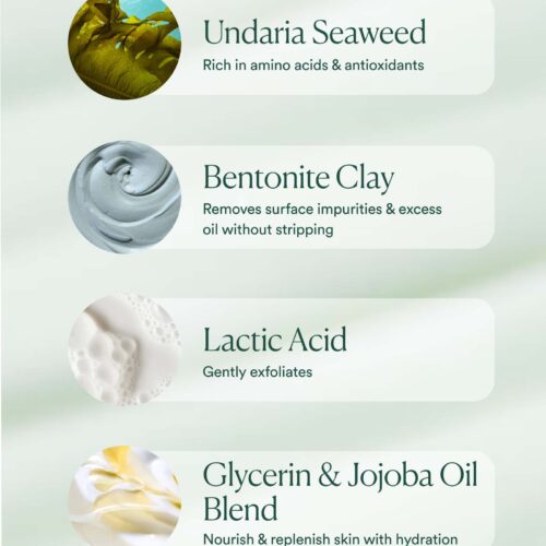 Ocean Cleanser - Image 7