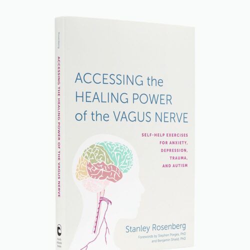 Accessing the Healing Power of the Vagus Nerve Book