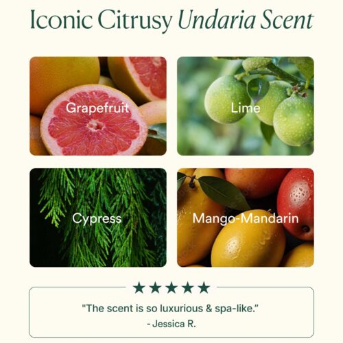 Undaria Algae™ Body Butter - Image 5