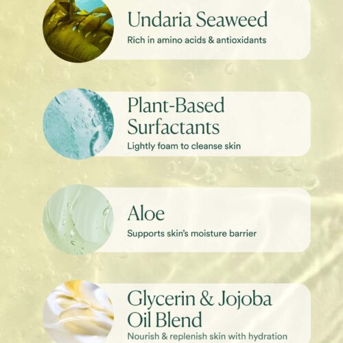 Undaria Algae™ Body Wash - Image 6