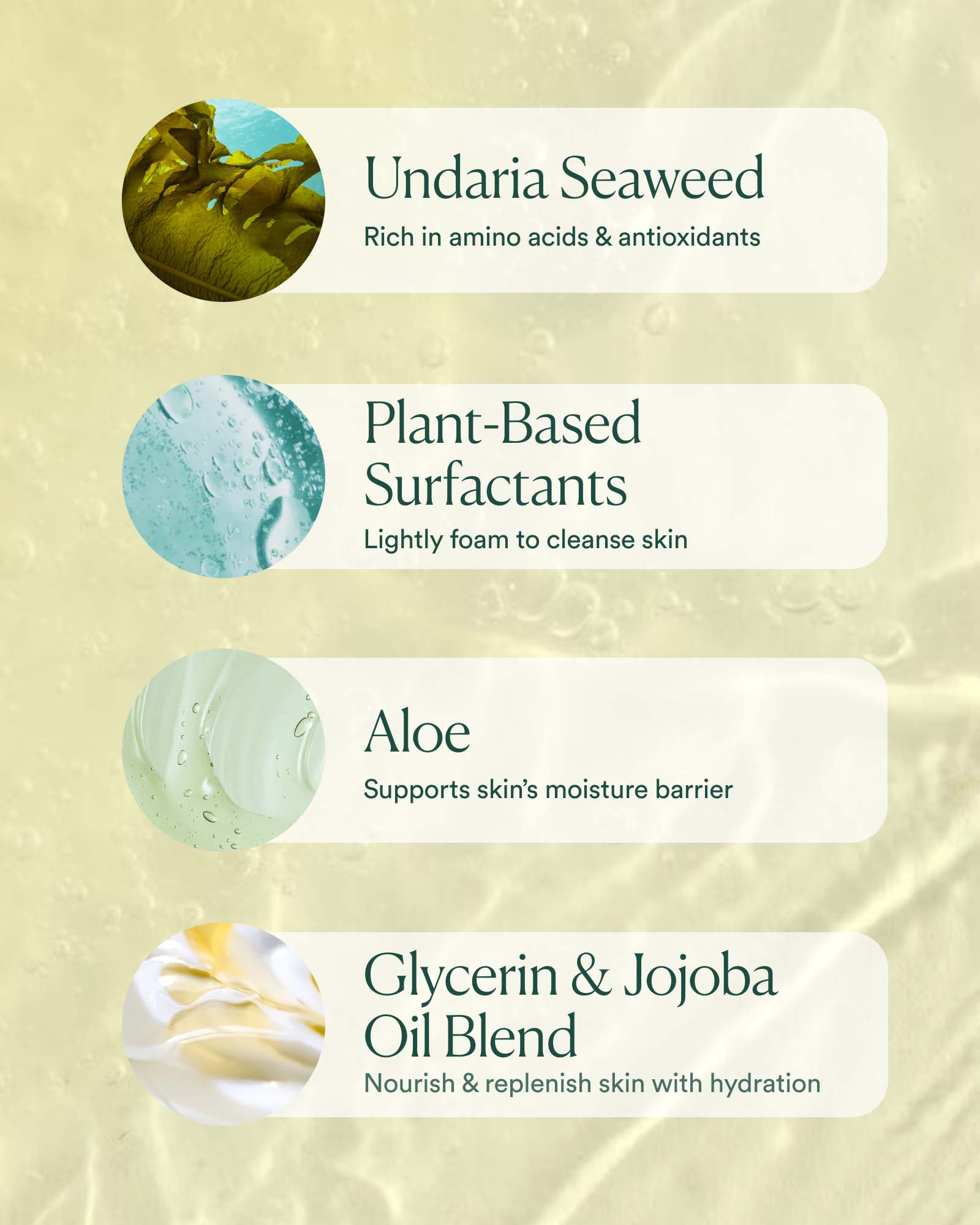 Undaria Algae™ Body Wash - Image 6