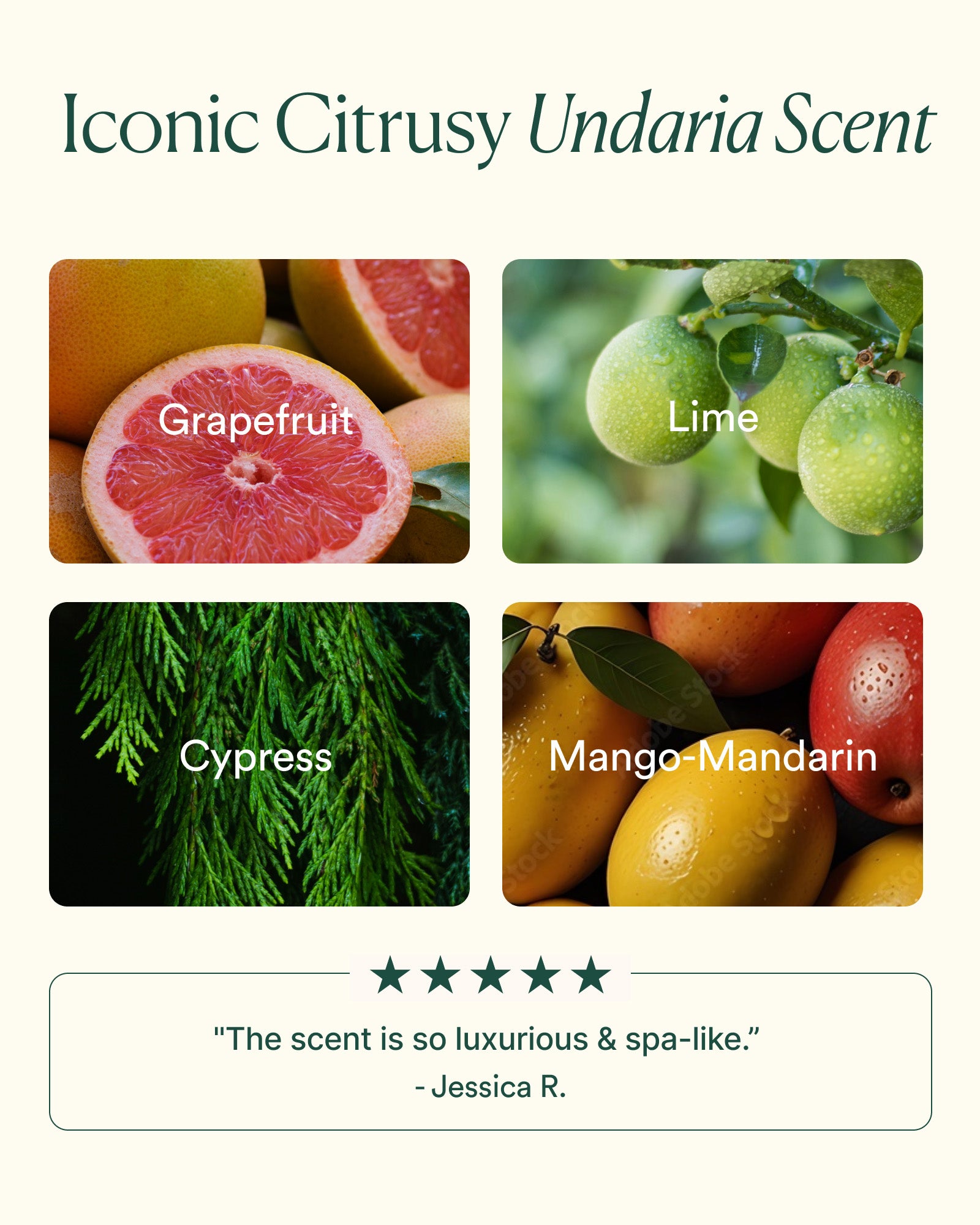 Undaria Algae™ Body Wash - Image 5