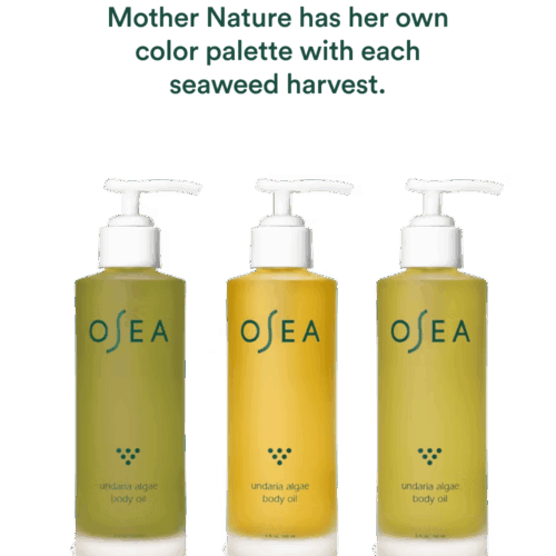 Undaria Algae™ Body Oil Fragrance Free - Image 5