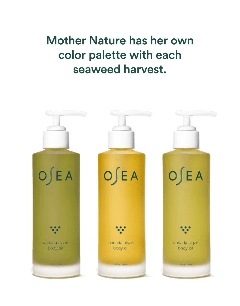 Undaria Algae™ Body Oil Travel Size - Image 4
