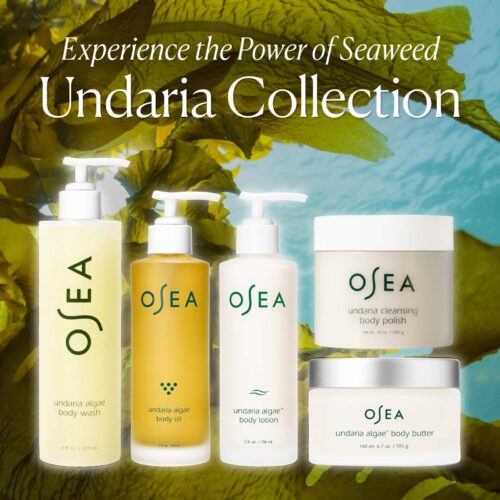 Undaria Algae™ Body Oil - Image 7