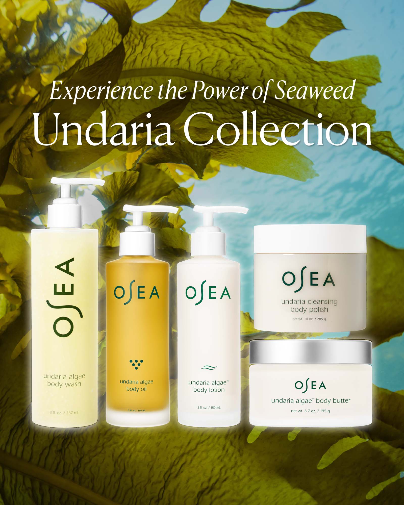 Undaria Algae™ Body Oil - Image 7
