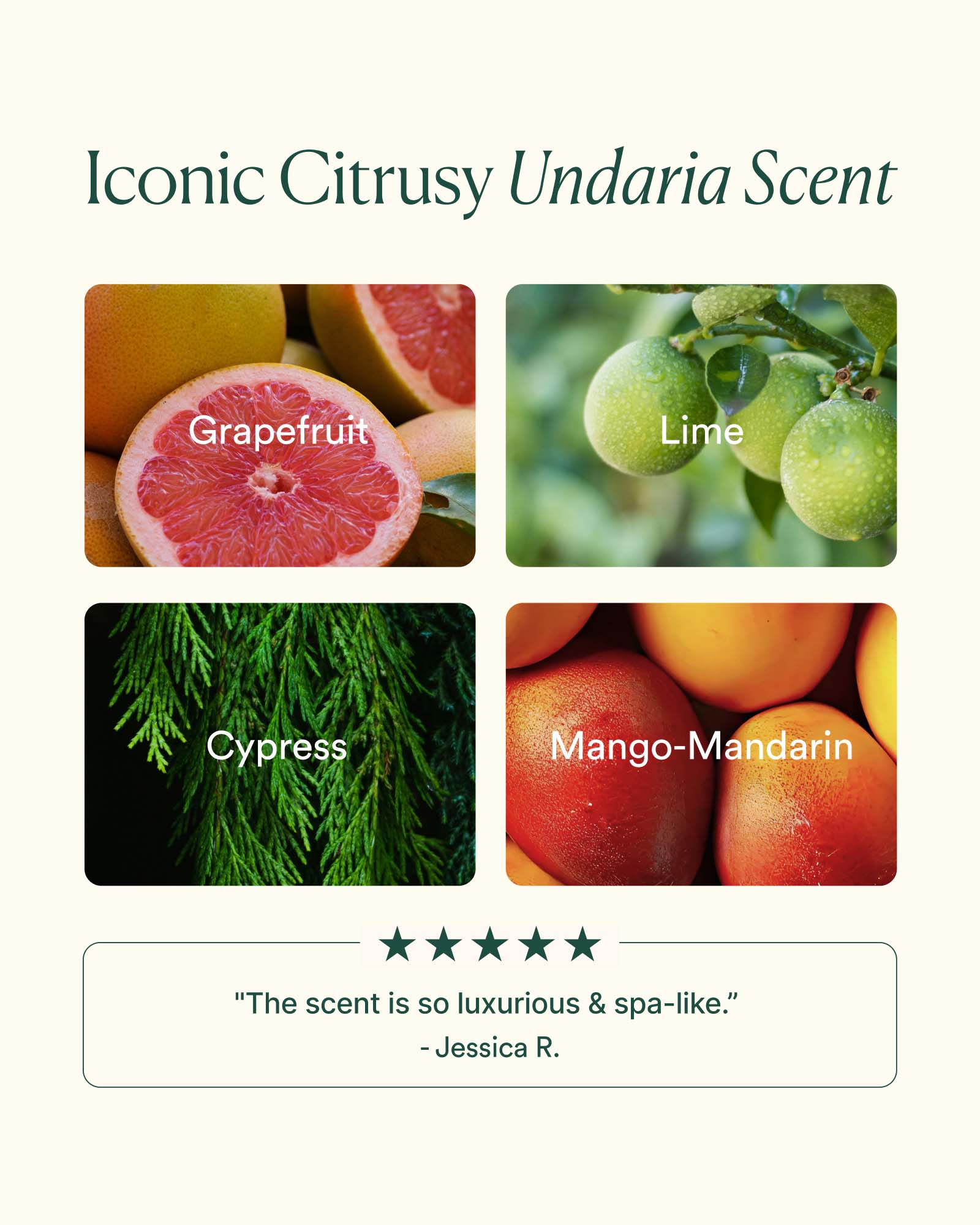Undaria Algae™ Body Oil - Image 5